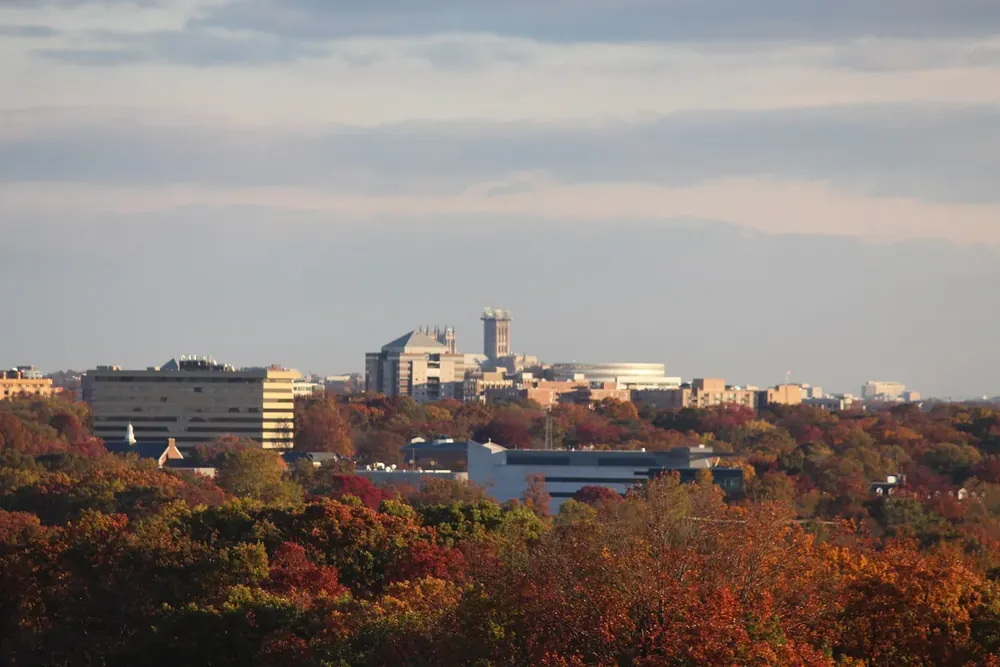 Autumn trees and distant buildings seen from Bailey's Crossroads, Virginia