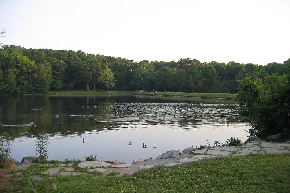 Calm Greenbelt Lake ringed by woods with a stone-edged shore in Greenbelt, Maryland