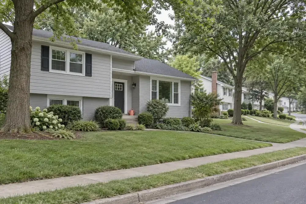 Illustration of a typical residential street in the Kings Park West, VA area