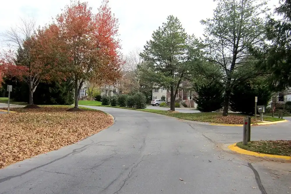 Curving residential street lined with autumn trees and townhouses in Montgomery Village, Maryland