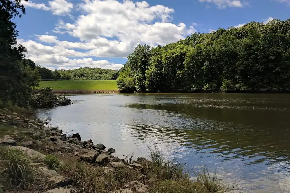 Calm water and wooded shoreline of Lake Needwood in Rock Creek Regional Park, Redland, Maryland