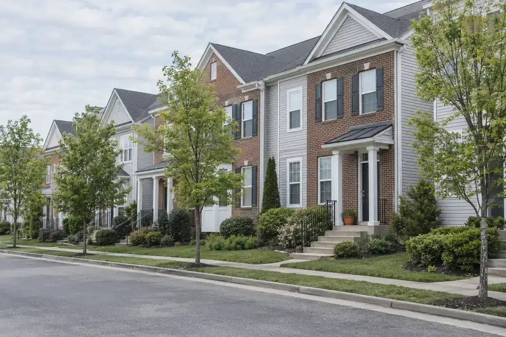 Illustration of a typical residential street in the Stone Ridge, VA area