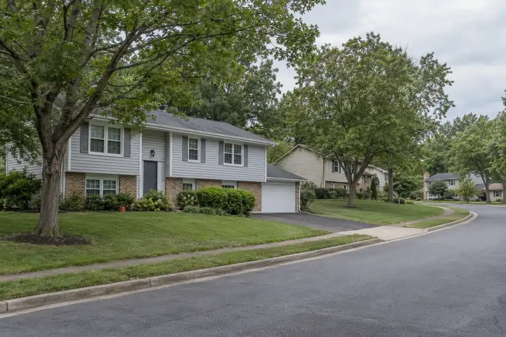 Illustration of a typical residential street in the Sugarland Run, VA area