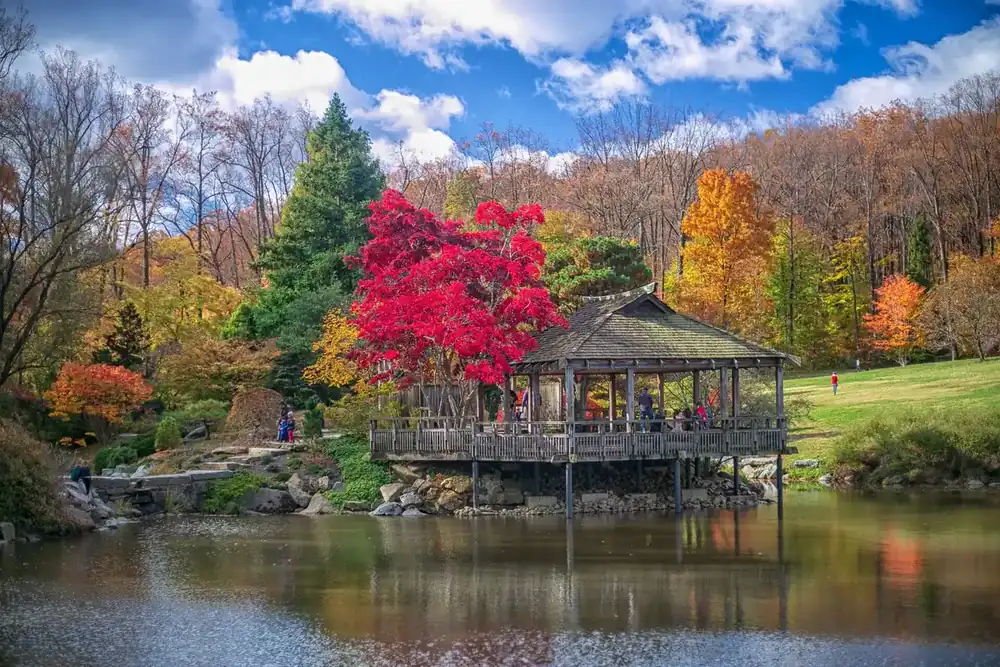 Wooden teahouse over a pond ringed by fall color at Brookside Gardens in Wheaton, Maryland